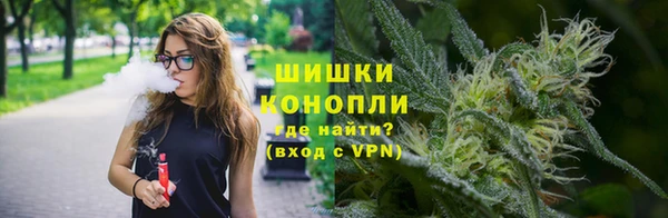 гидропоника Елабуга