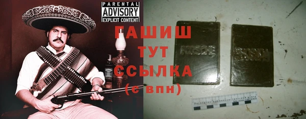 скорость Ельня