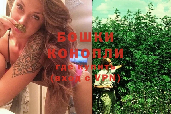 гидропоника Елабуга