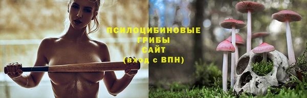 гидропоника Елабуга