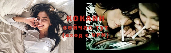 гидропоника Елабуга
