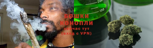 гидропоника Елабуга