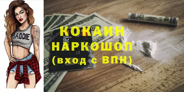 скорость Ельня