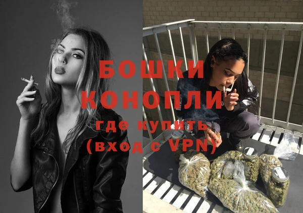 гидропоника Елабуга