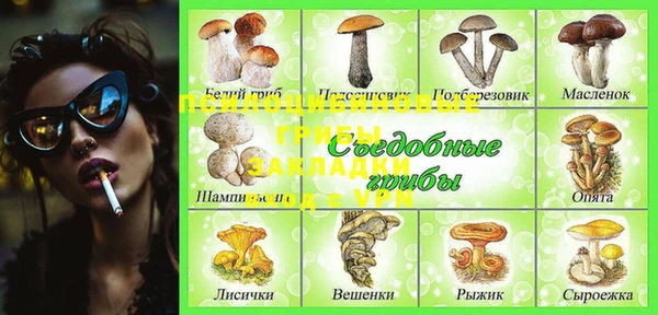 скорость Ельня
