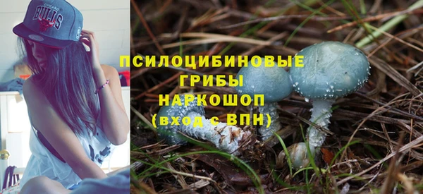 скорость Ельня