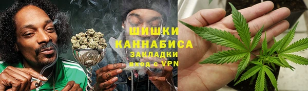 скорость Ельня