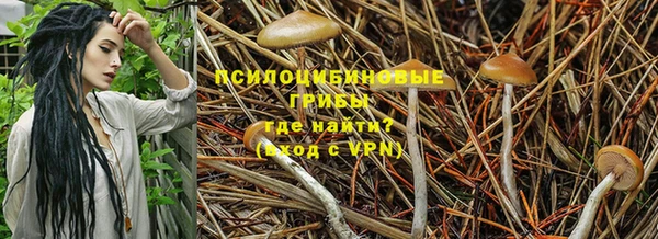 гидропоника Елабуга