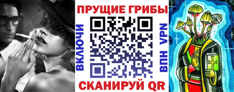 Псилоцибиновые грибы MAGIC MUSHROOMS  Купить закладки  Салаир 
